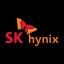 SK Hynx
