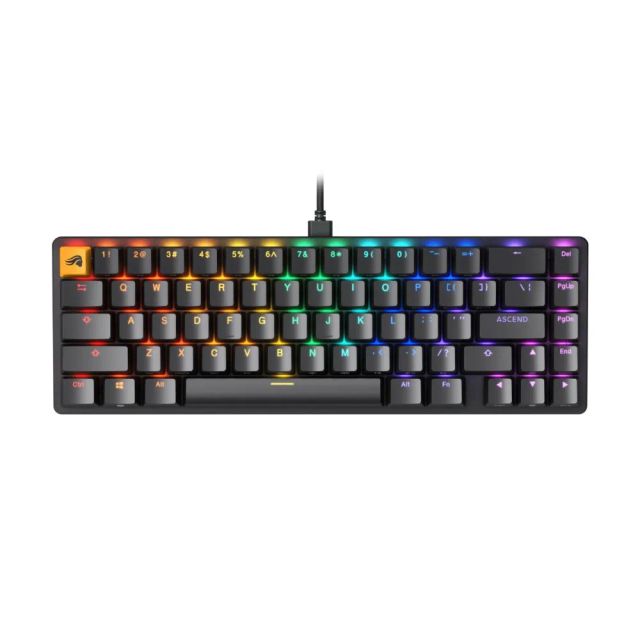 Glorious Gaming GMMK 2 Pre-Built Edition with Arabic Letters - TKL Mechanical Keyboard - Compact Keyboard- Low-Profile - Hotswap Keyboard w/Cherry Mx Style Switches - Incl. Double Shot Keycaps & Linear Switches - Black Gaming Keyboard, Wired